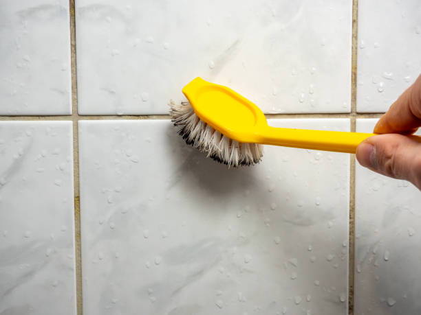 Best Health and Safety Mold Remediation in Oakley, KS